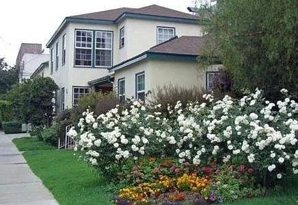 Beautiful clean and updated 2 bedroom 2 bathroom upper level apa