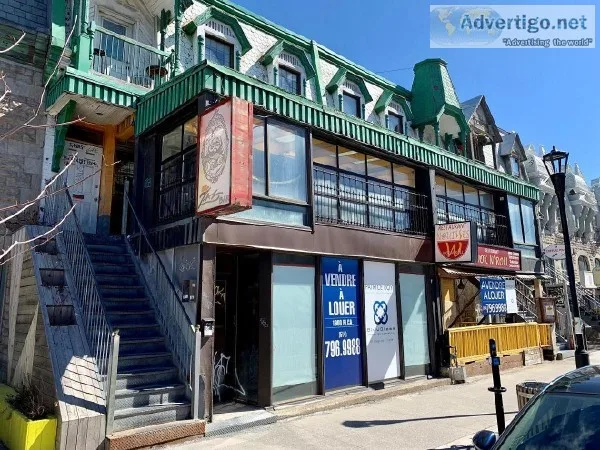 Building for sale on St-Denis Plateau-Mont-Royal