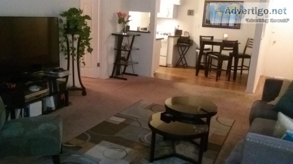 UPSCALE APARTMENT FOR RENT