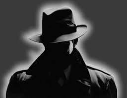 How can a Private Investigator help you