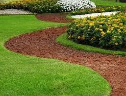 Landscaping Service Ocala (Florida USA)