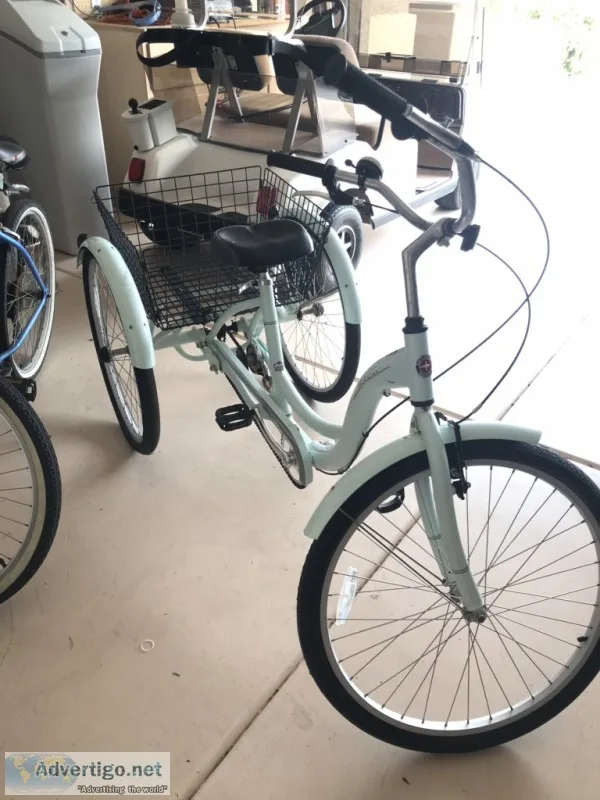 Adult tricycle bike schwinn
