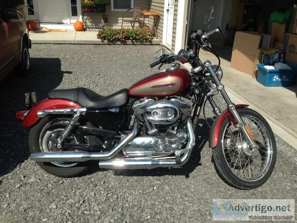 Harley Davidson Sportster 1200C