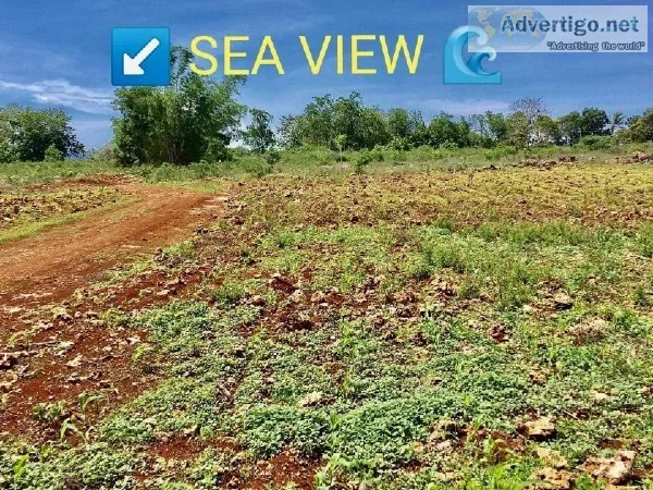 Commercial Titled lot for sale Near Laguindingan Airport