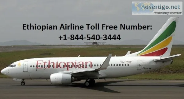 Ethiopian Airlines Flight for Los Angeles to Addis Ababa