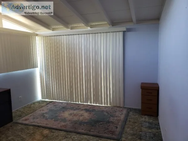 Big Blue Room to Rent