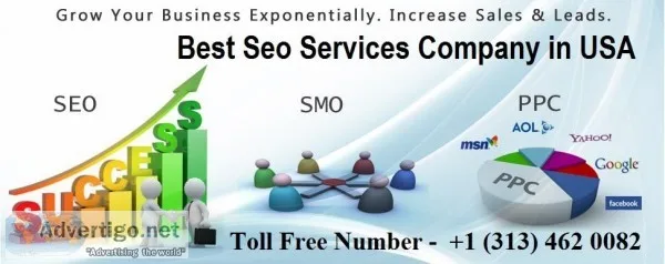 Best SEO Service Company in USA 1 (313) 462 0082