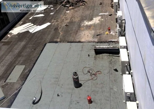 Damp Waterproofing Services