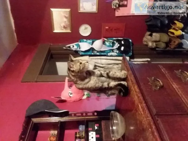 Need loving home