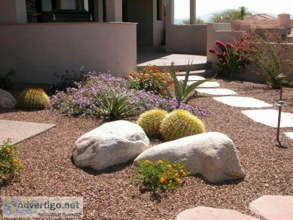 Cleanups - Sod - Trimming - Drought Tolerant Turf