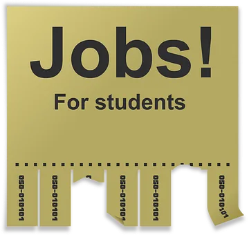 Are You Looking for HR Jobs in Christchurch