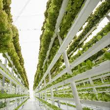 Vertical Farming Technology and How Does it Work