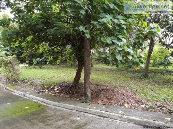 Tagaytay Residential Lot - Rush  Sale  near Rotonda