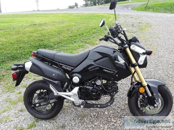 2014 Honda Grom