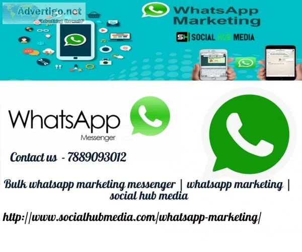 BulK  Whatsapp  marketing software  whatsapp marketing messenger
