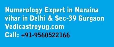 Best Numerology expert  in Naraina Vihar Delhi NCR