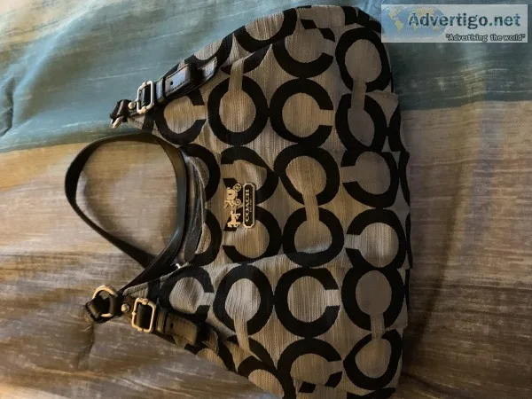 Coach purses