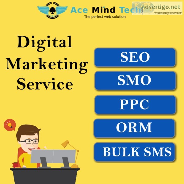 SEO Company in Delhi