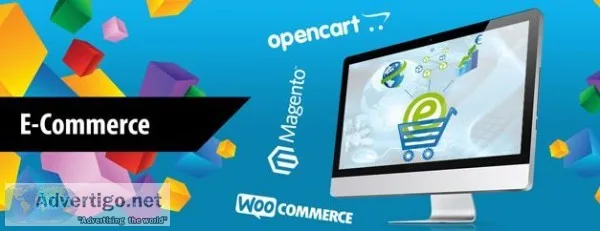 Ecommerce marketing agency