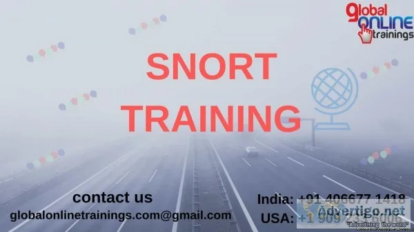 SNORT Training  SNORT Online Job Support from India - GOT