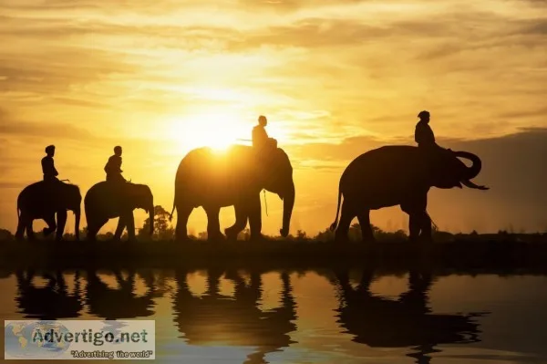 Indian jungle safari tours