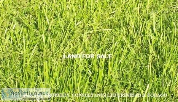 Freehold Land for Sale