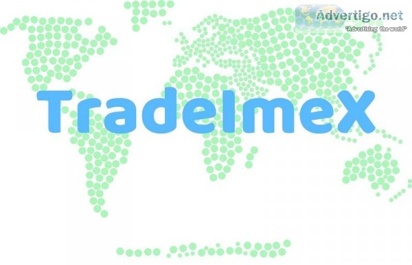 Import Export Data Provider Online  tradeimex.in