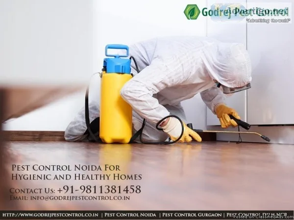 Pest Control Delhi &ndashBook Appointment Now
