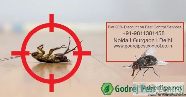 Flat 20% off on Pest Control Gurgaon