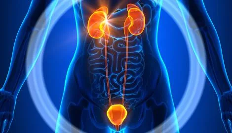 Best Urology Surgery in Ahmedabad
