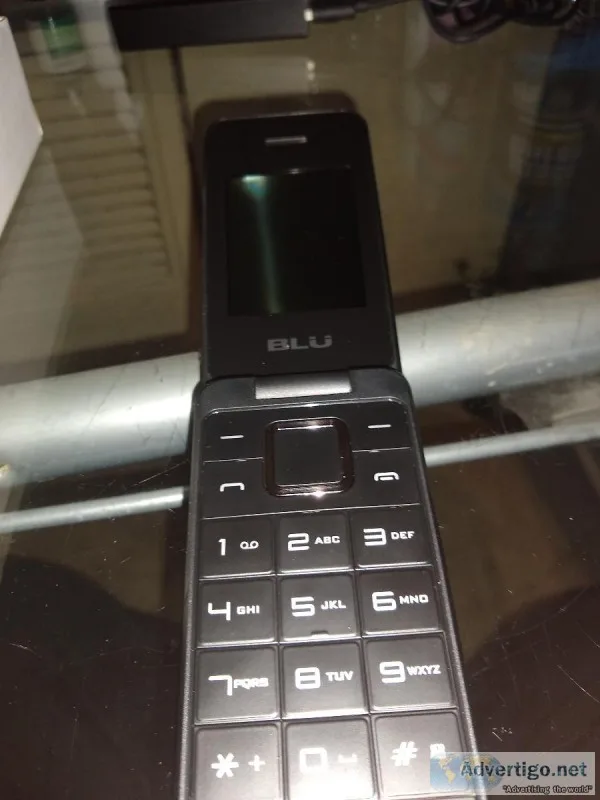 Unlocked international flip phone which 3 months of service for 