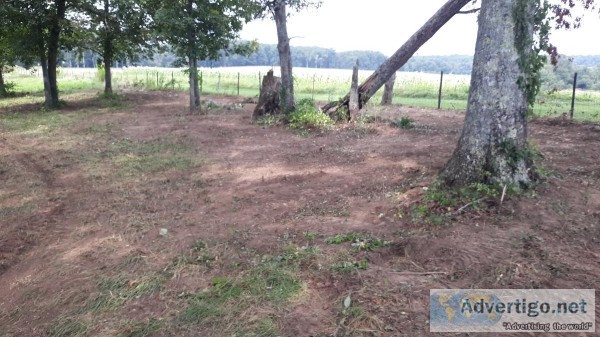 Roughly 15 acres of beautiful land