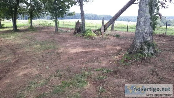 Roughly 15 acres of beautiful land