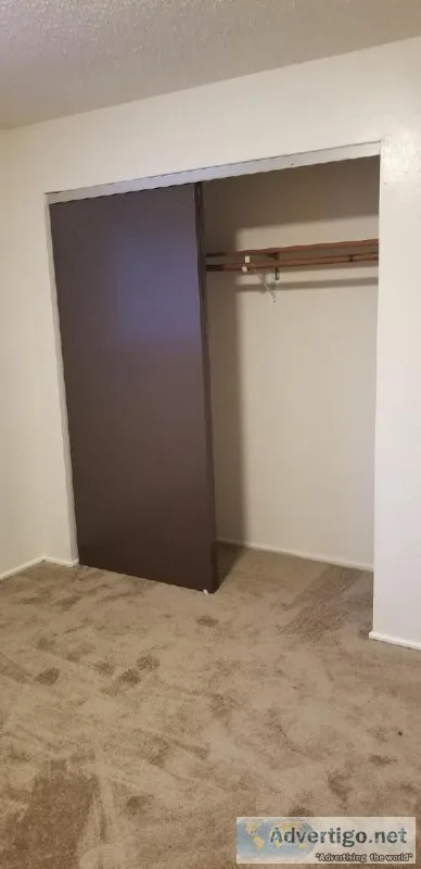 Mid-September Move in - 1 Bedroom apt in Kent