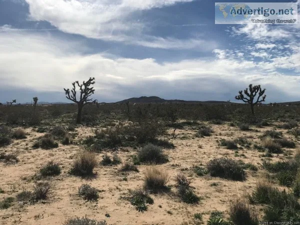 5 Acre Parcel with Water Meter -Flat Land