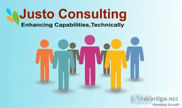 Justo Consulting Business Consultancy Services in USA