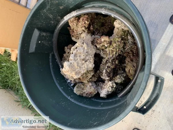 Saltwater Aquarium 130 gallons Bargain