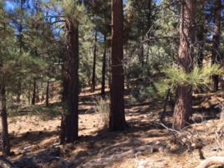 Affordable Slice of Big Bear- Vacant Land 8800SQ FT.