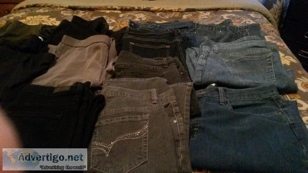 lee relaxed jeans and blouses
