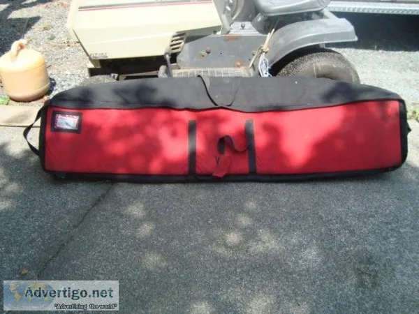 Ski Bag