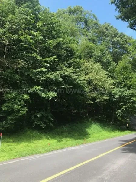 Lot 104 Chestnut Springs Section - Wintergreen Resort