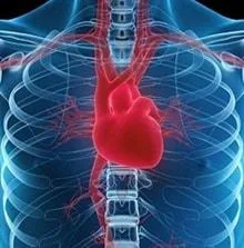 Best Kidney Transplant Hospital in Punjab  SPS Hospitals