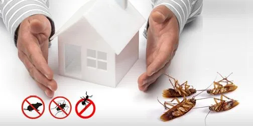 Pest control services in Pune