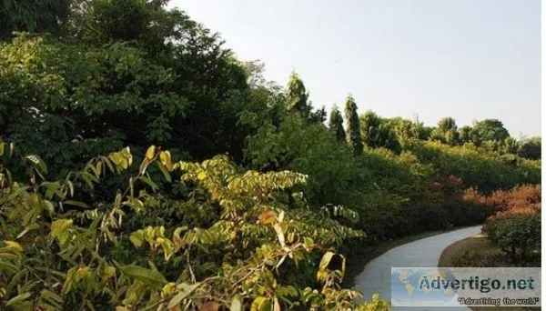 Tourism industry brings to you the best-in-class Holiday Package