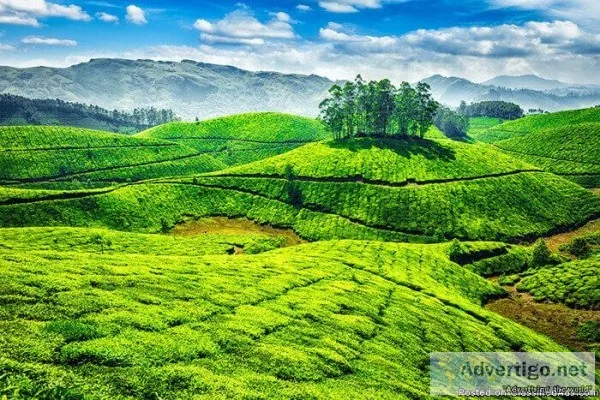 2.Welcome to the coolest place of Kerala. Call now and book your