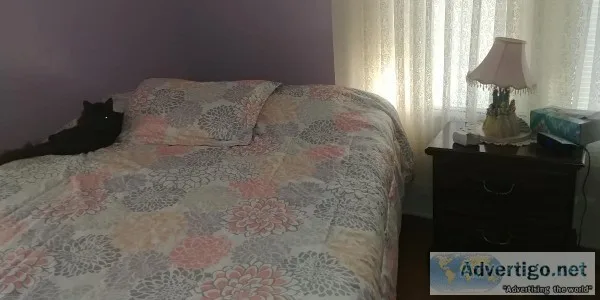 Looking for a reliable roomate