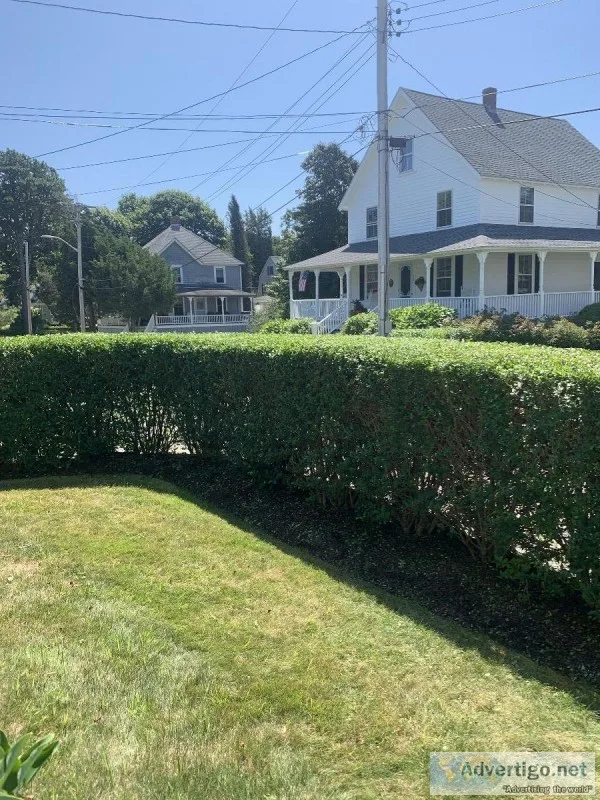 hedge trimming services