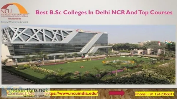 Best B.Sc Colleges In Delhi NCR And Top Courses