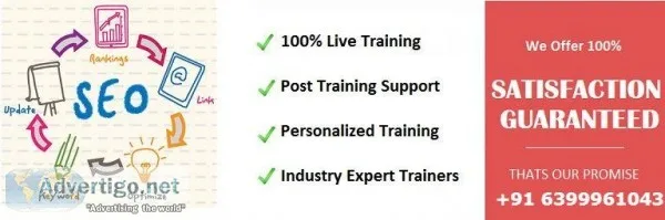 SEO Training Course in Delhi Practical Classroom Curses Delhi NC