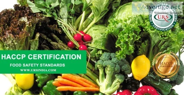 HACCP Certification in Pune